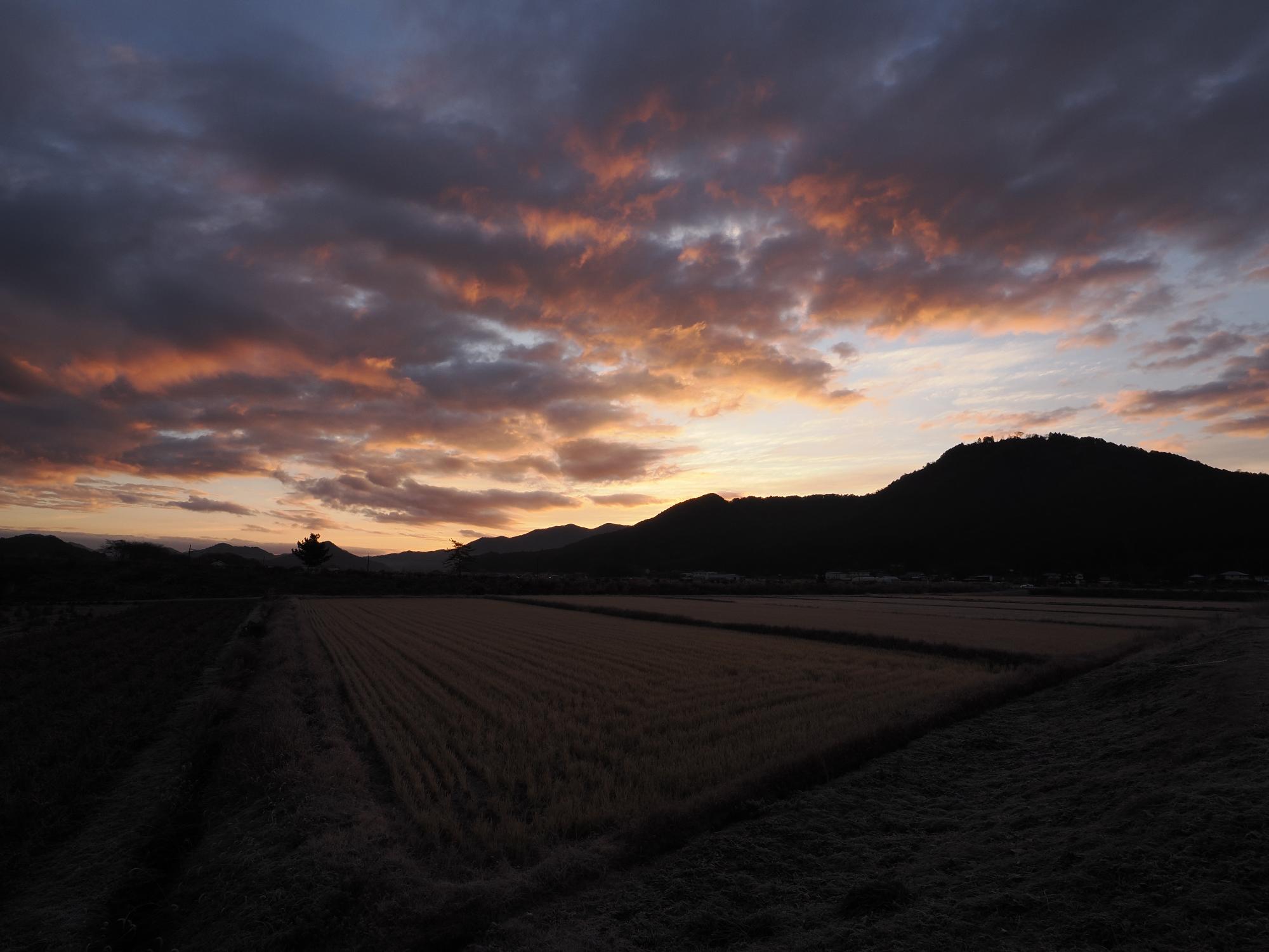 20251210morning3