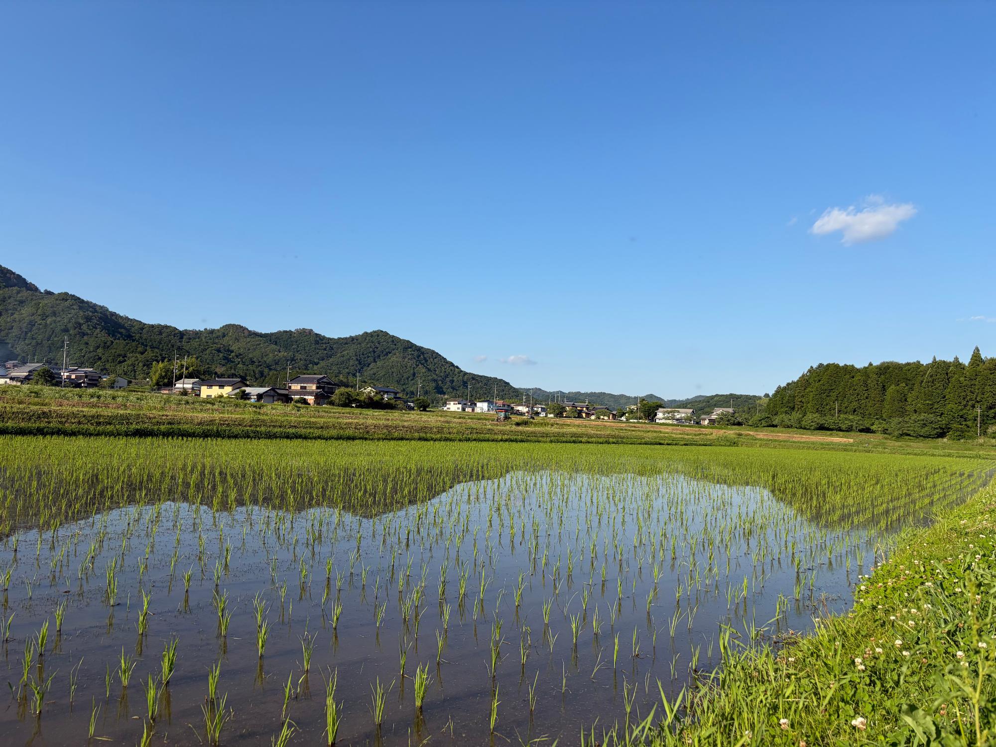 畦道からの風景(フォト@丹波篠山)