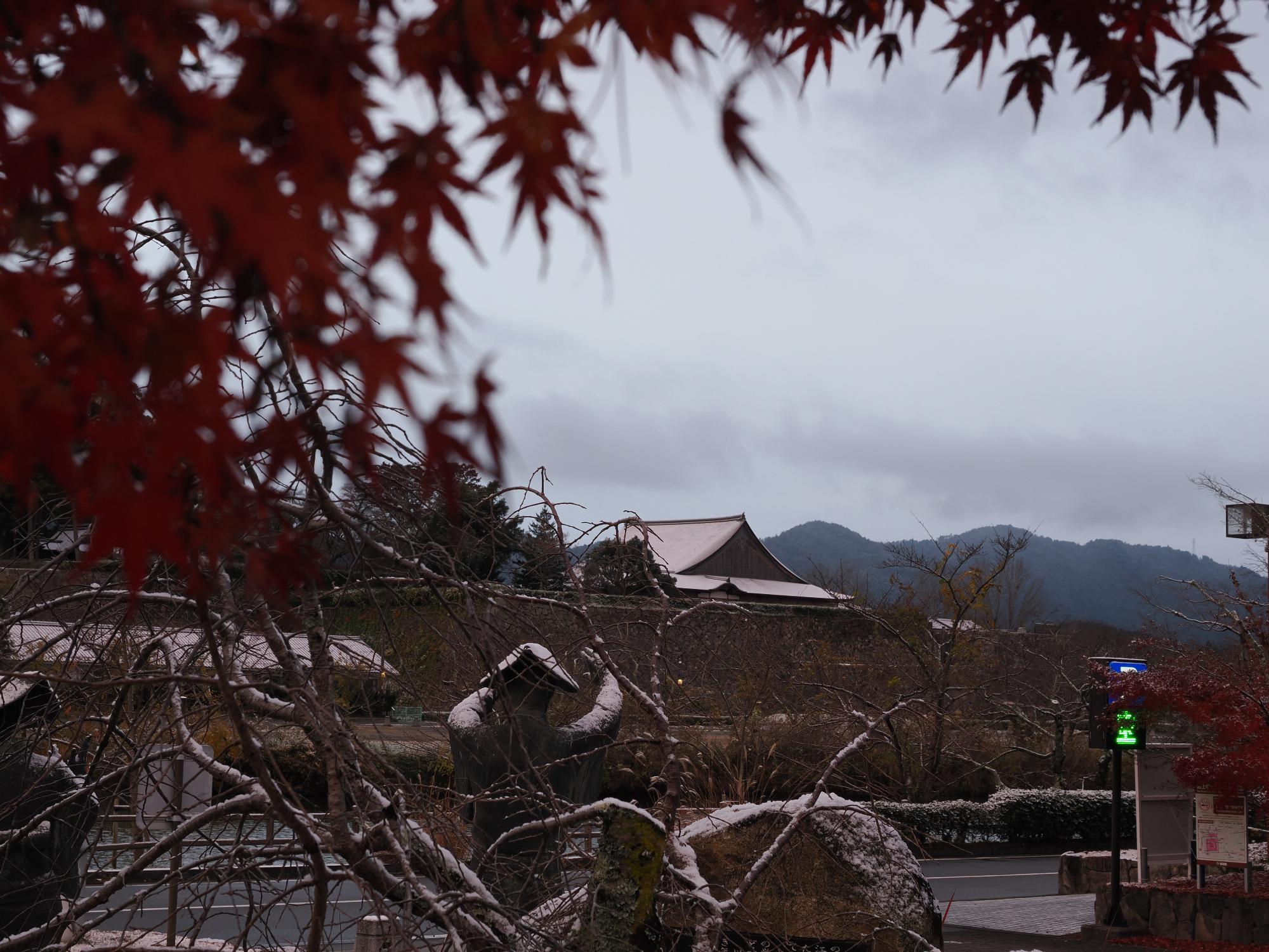 20251204hatsuyuki2
