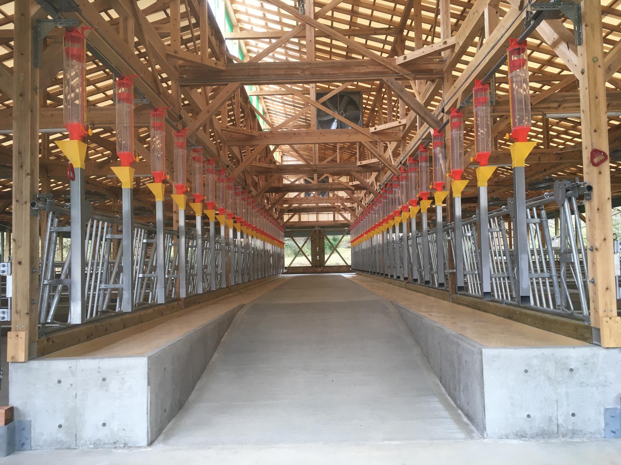 兵庫田中畜産の牛舎の中