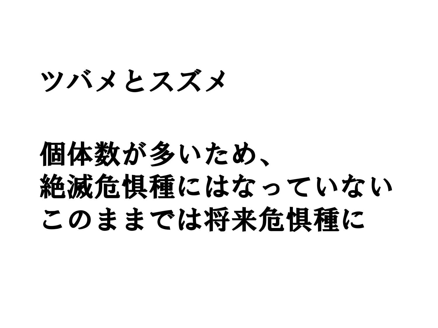環境推進大会の資料