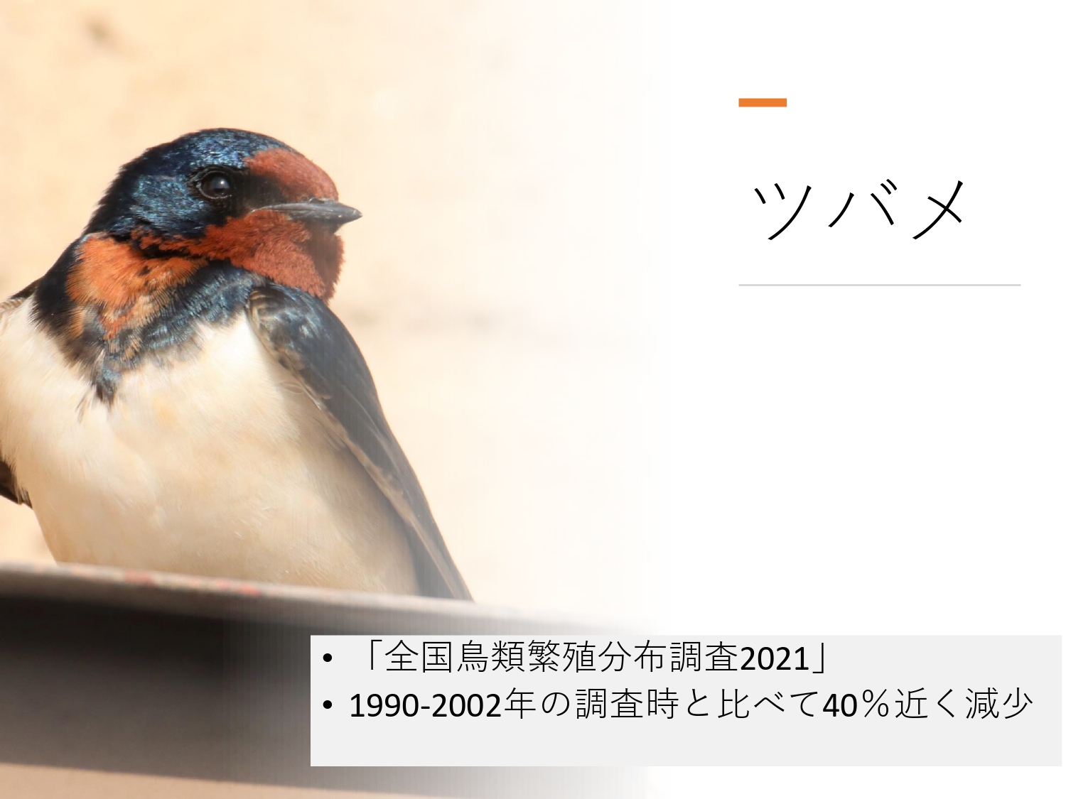 環境推進大会の資料