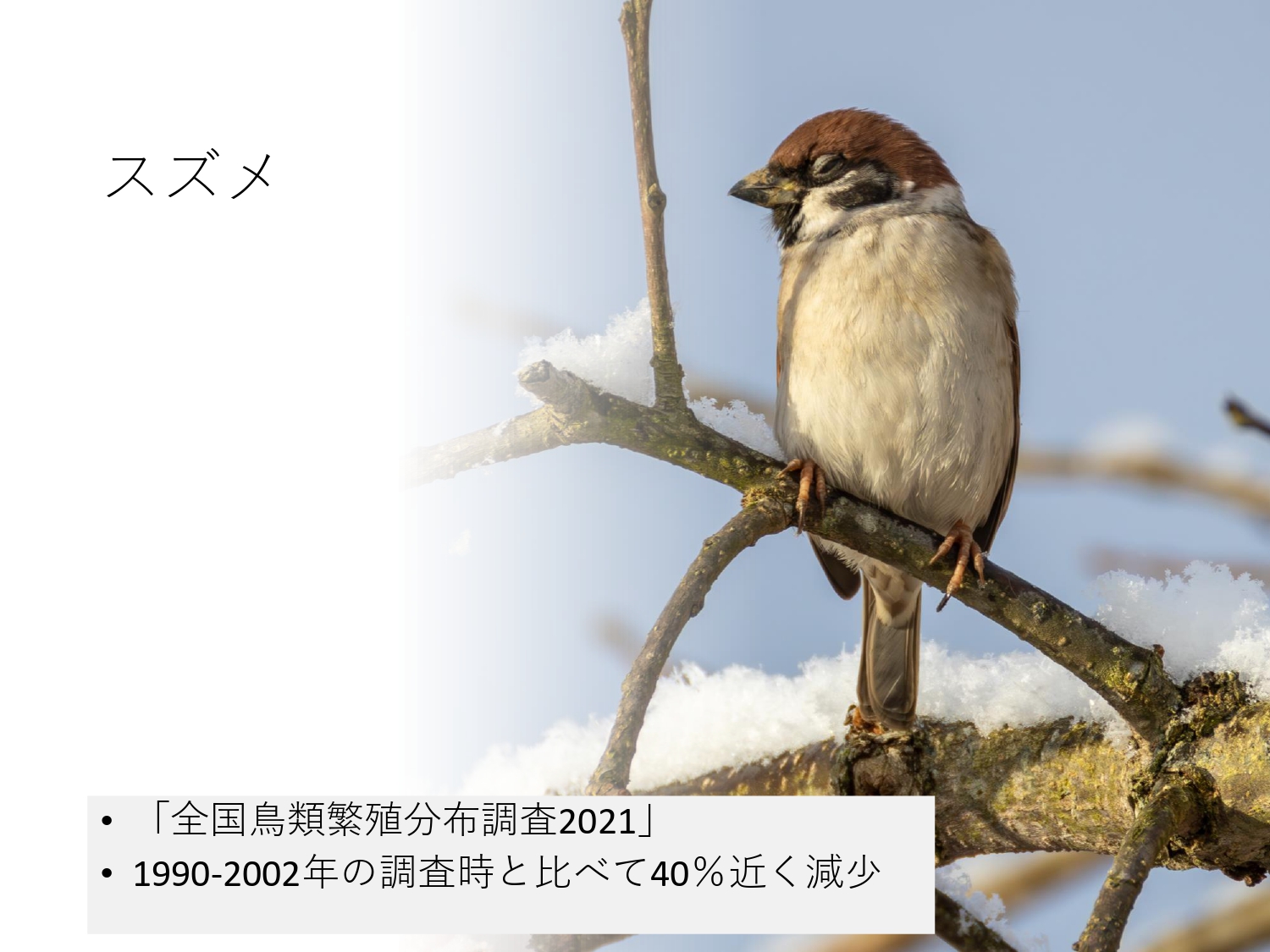 環境推進大会の資料