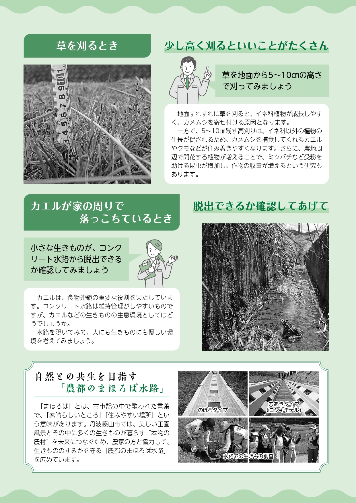 エコアップの資料