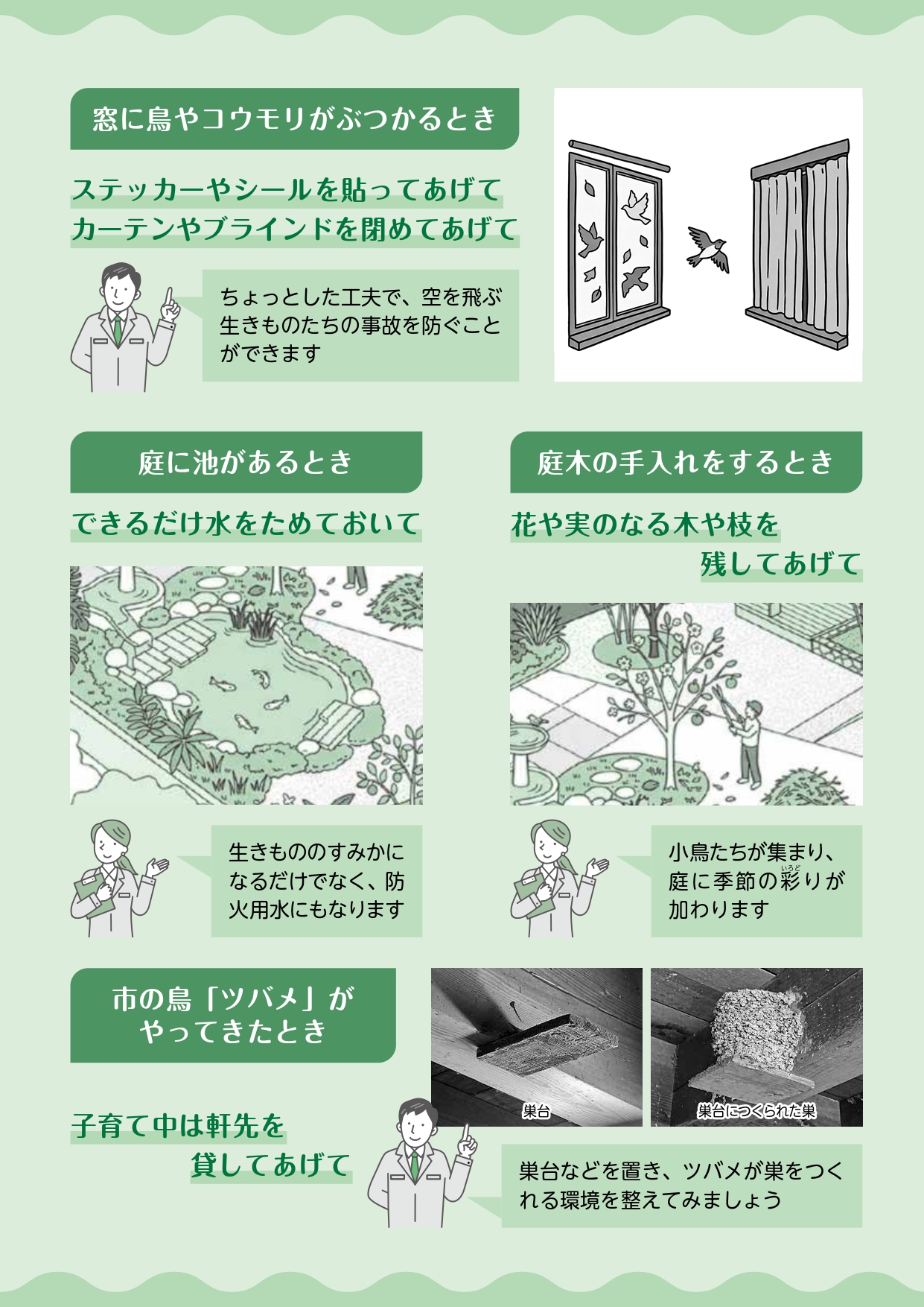 エコアップの資料