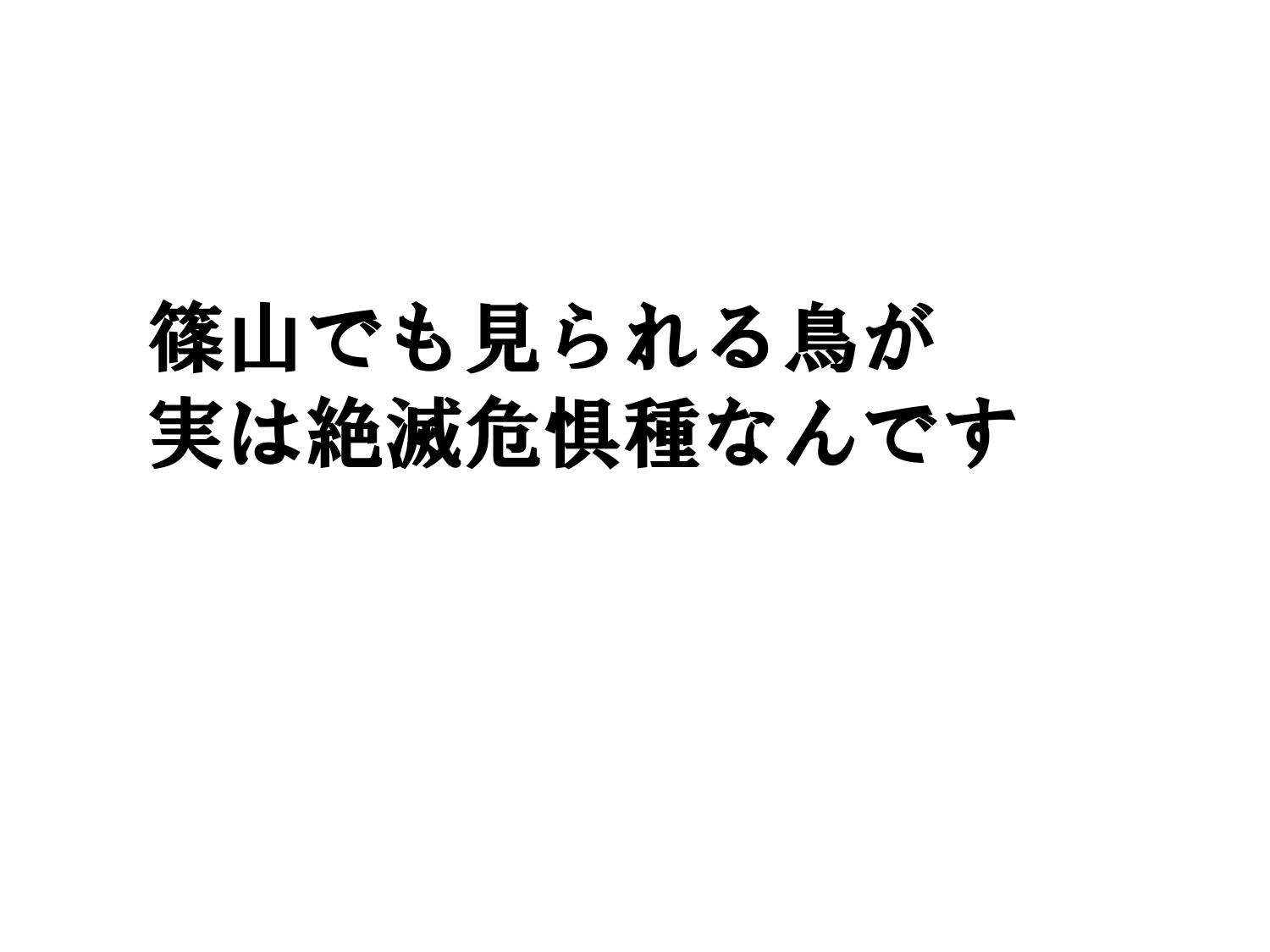 環境推進大会の資料