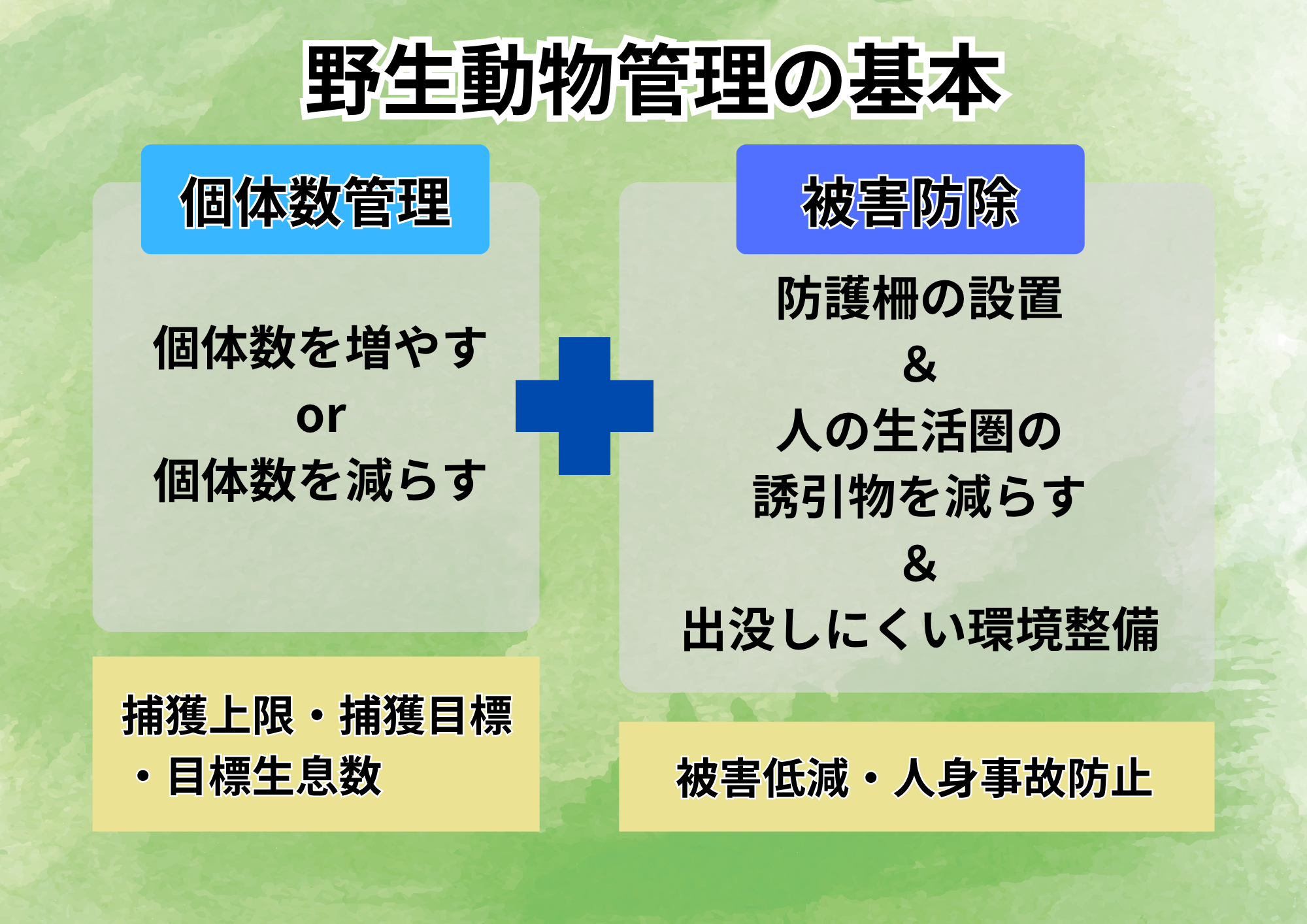 クマはなぜ人里に出没するのか資料