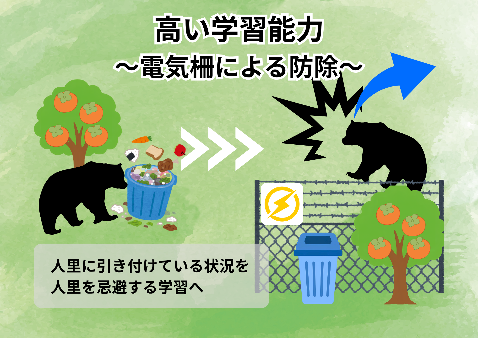 クマはなぜ人里に出没するのか資料