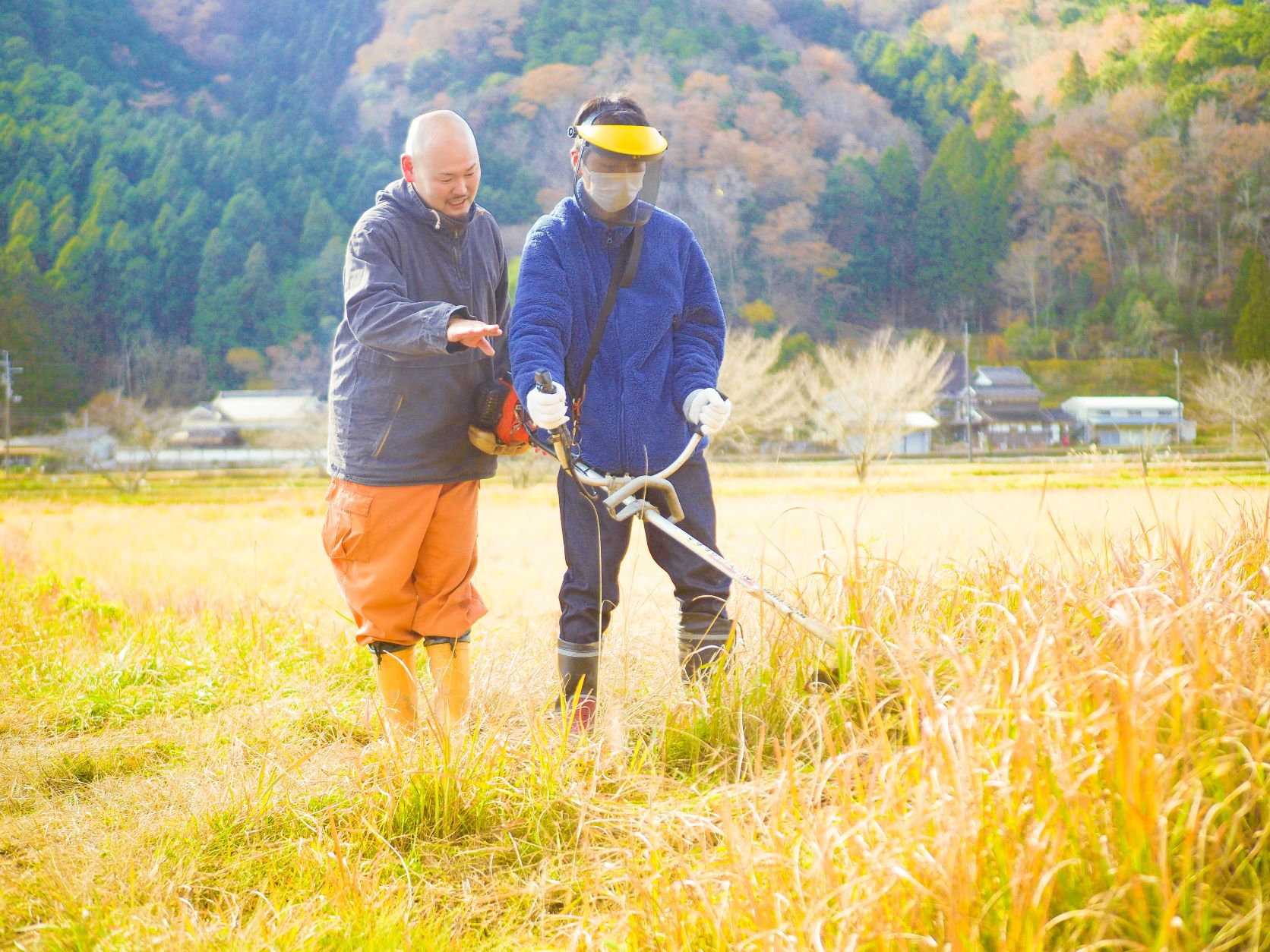 ツアー参加者が、教えてもらいながらあぜ道の草刈りをしている