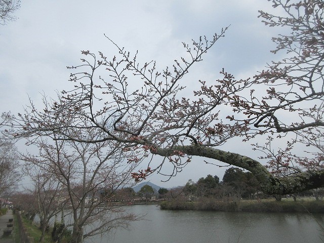 令和8年度もつながりを大切に1