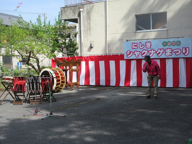 シャクナゲまつり4