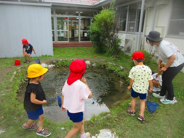 古市幼小1