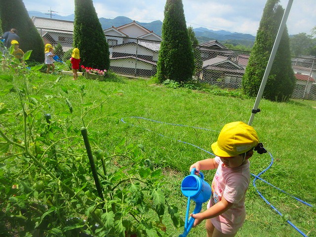 富山こども園2