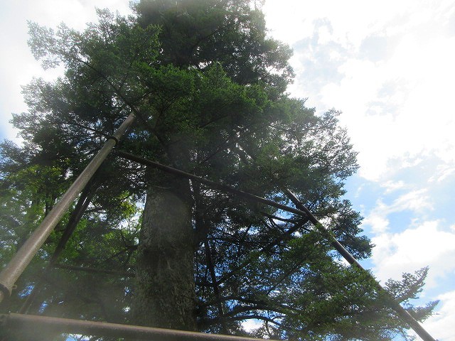 追手神社調査4