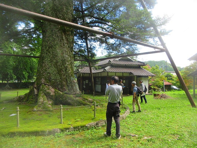 追手神社調査5