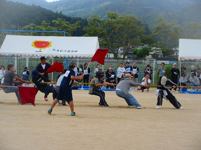 城南地区体育祭8