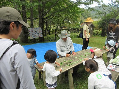 森のようちえん1