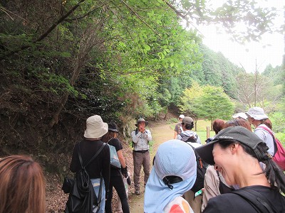 森のようちえん10