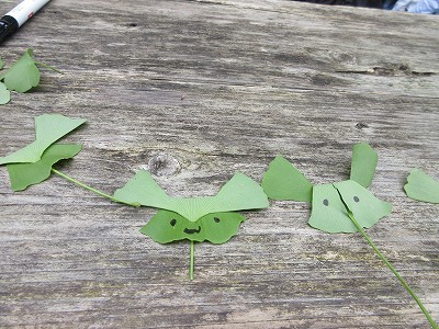 森のようちえん2