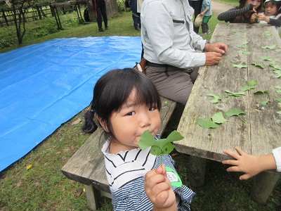 森のようちえん3