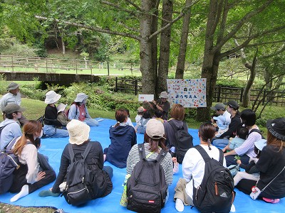 森のようちえん4