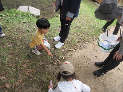 森のようちえん6