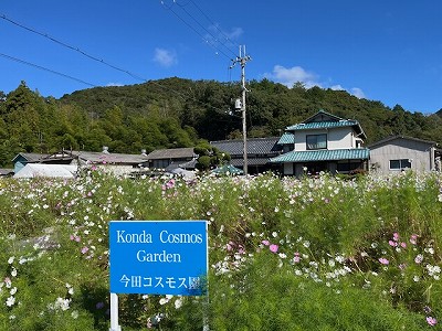 アキノイベント1