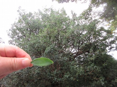 近畿教育長会議2