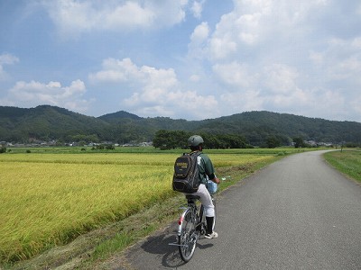 暑さに負けず12