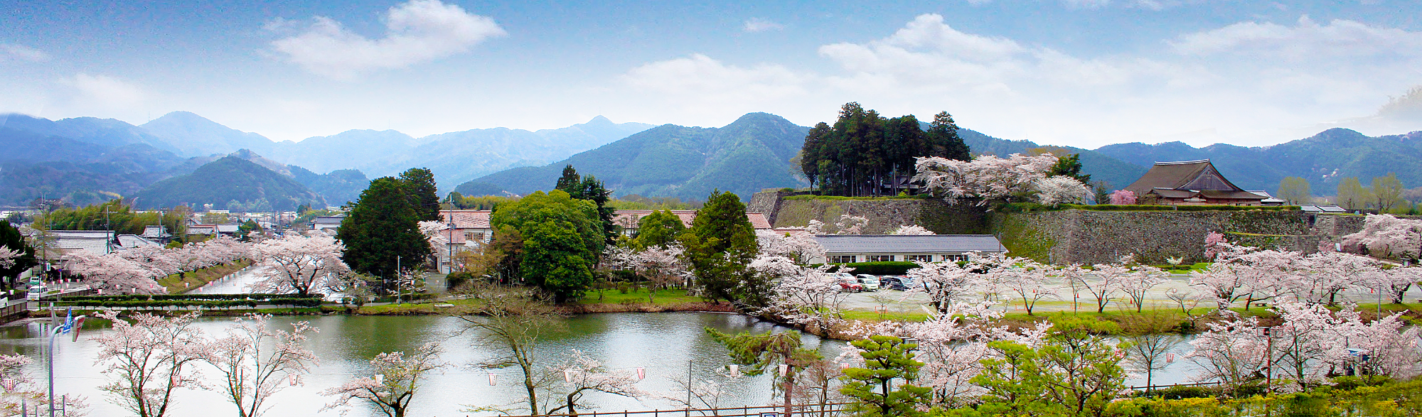 桜と大書院パノラマ写真