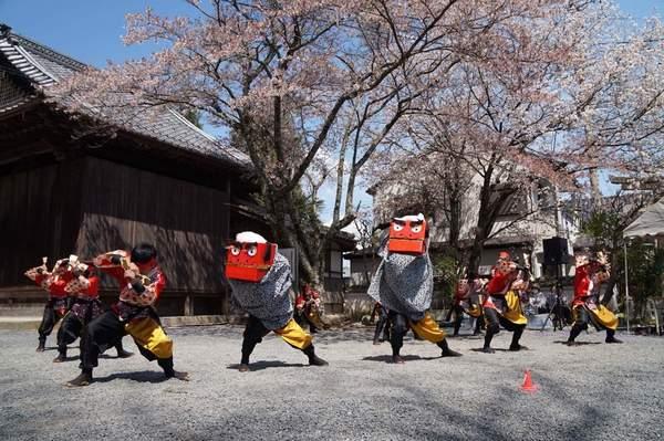 桜の木の下で、獅子舞の手作りのお面を被った人が2人踊っており、両脇に黒と黄色のズボンの衣装を着た男性が顔の前で両手を交差させ、踊っている様子の写真