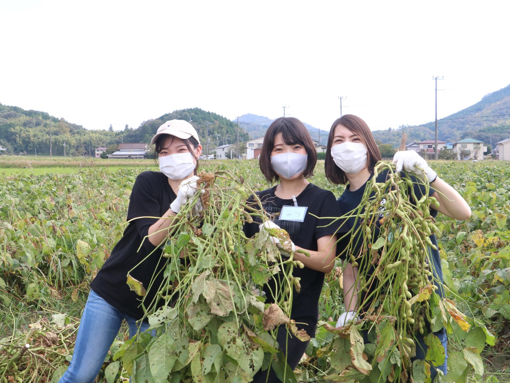 女性3人が黒枝豆の株を持っている