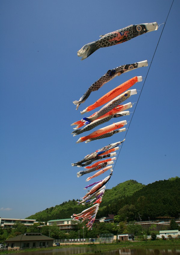 青空に泳ぐ鯉のぼりの群れの写真