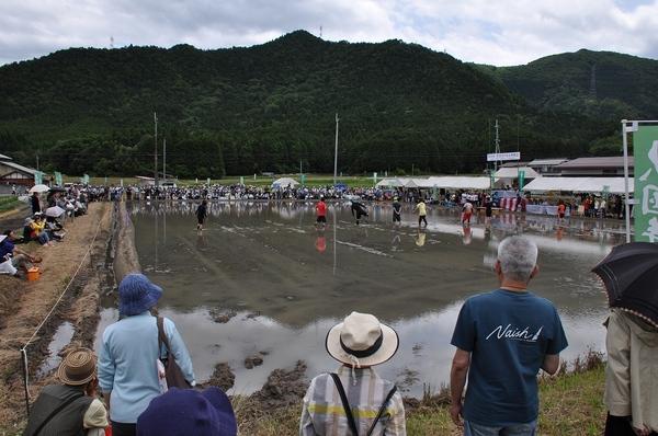田んぼの中で競争をしている人をあぜ道からみている人々の写真