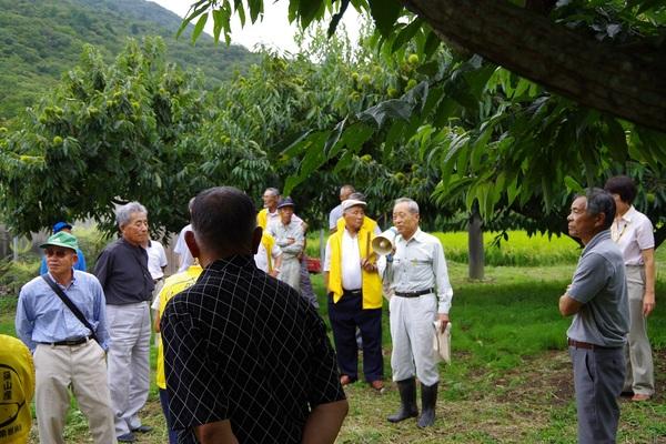 栗の木の前で10名ほどの男性が並び、中央で拡張マイクを持った男性が話している写真