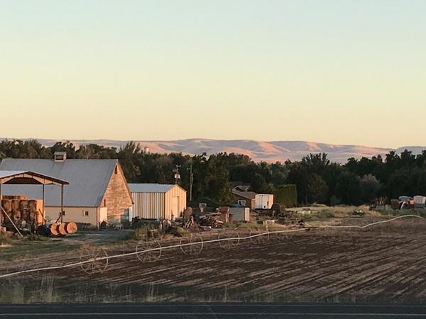 広い農地がありその横には大きな建物、周りは緑や山に囲まれている全体風景を映した写真