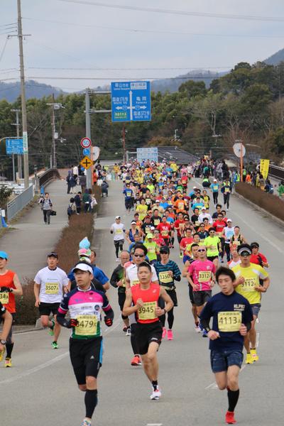 道路を沢山の選手が走り、沿道では多くの市民が応援している写真
