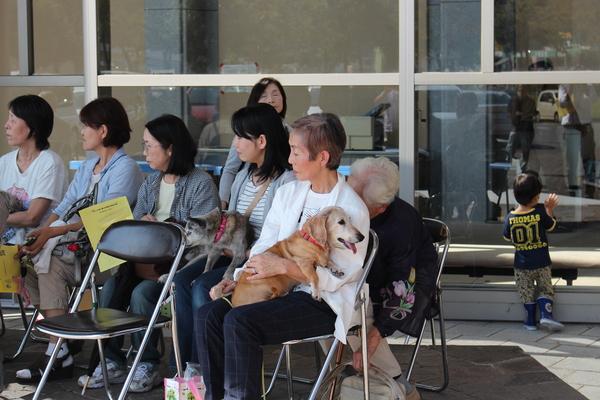 椅子に座り長寿犬を抱っこしたり、リードを持っている飼い主さんの写真