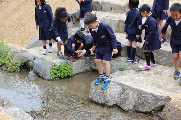 川に放流した魚たちを見て喜んでいる児童の写真