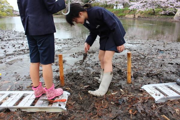 雨の中、スコップを手に持ちハスの苗の植え付けをしている生徒に傘をさしている生徒の写真