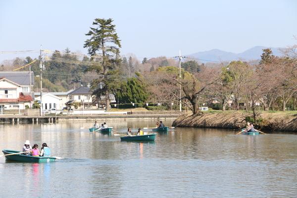 池にカップルや家族の乗った5艘のボートが浮かんでいる写真