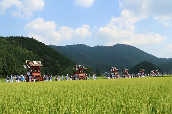 田んぼ道を数基の神輿を担いで練り歩く人々の写真