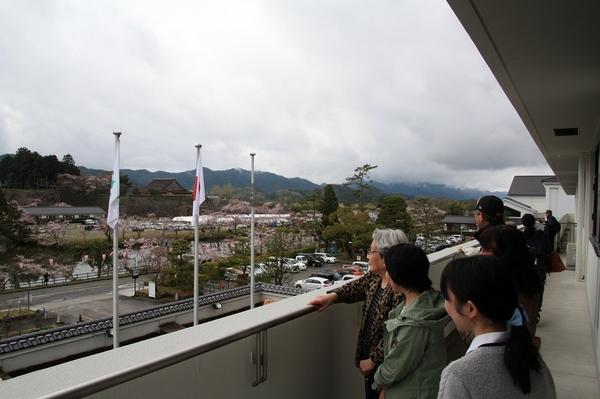 市長室のベランダから見渡す桜並木と観客の写真