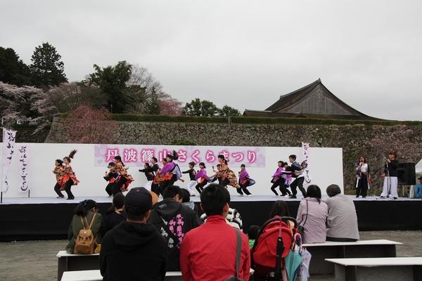 曇り空の下、さくらまつりステージ上で踊る女性達と観客の後ろ姿の写真