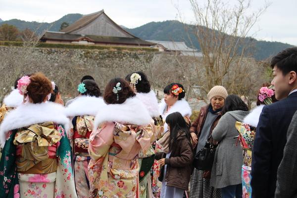 晴れ着姿やスーツ姿の新成人者が城の方を立って見ている写真