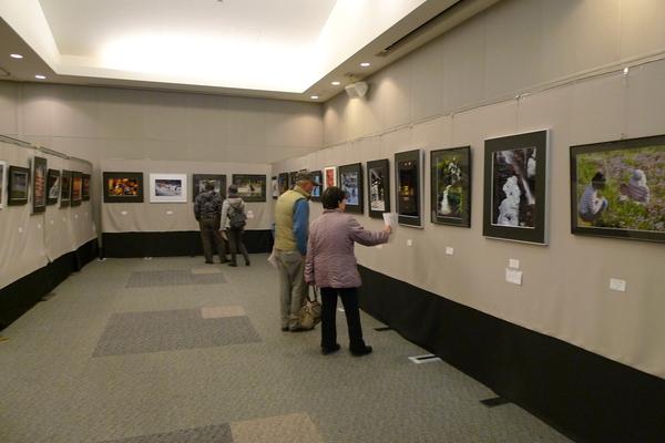 市展(写真)を鑑賞している人々の写真