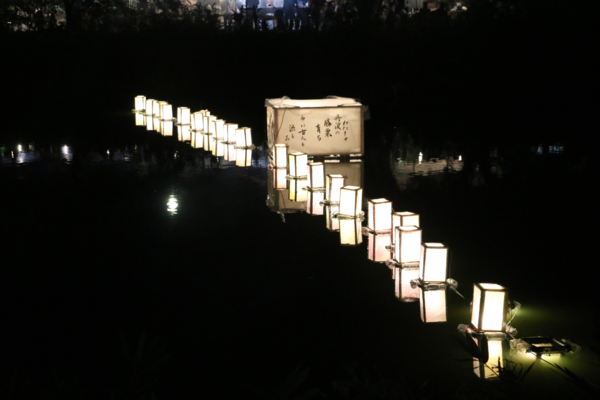 夜の川にたくさんの灯籠流し(とうろうながし)光っている写真