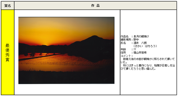 最優秀賞受賞作品「皐月の朝焼け」詳細の表組