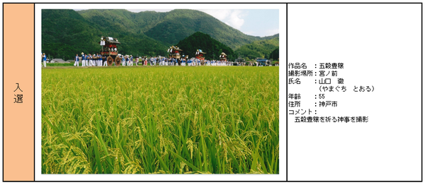 入選受賞作品「五穀豊穣」詳細の表組