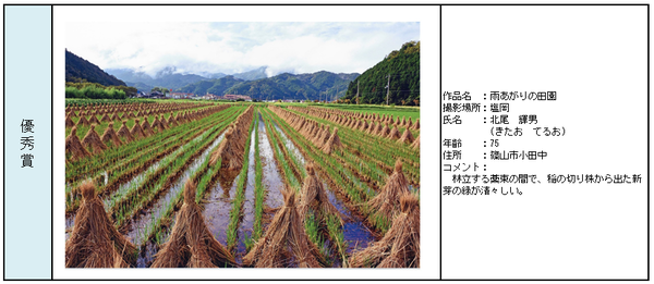 優秀賞受賞作品「雨上がりの田園」詳細の表組